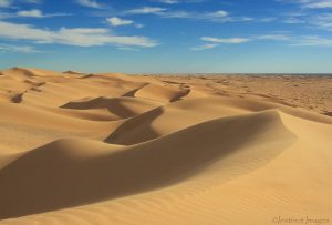 Imperial Sand Dunes Yuma